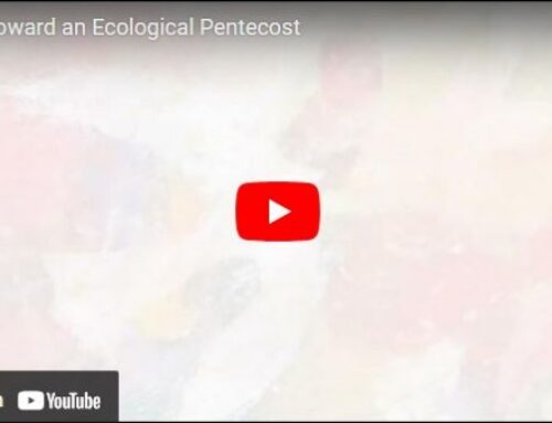 An Ecological Pentecost