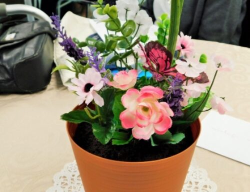 Merging Laudato Si and Earth Day 2025